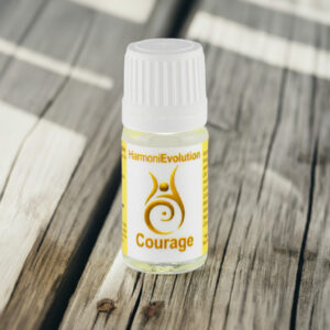 Huile courage boutique shopify