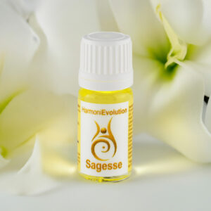 Huile sagesse boutique shopify 4